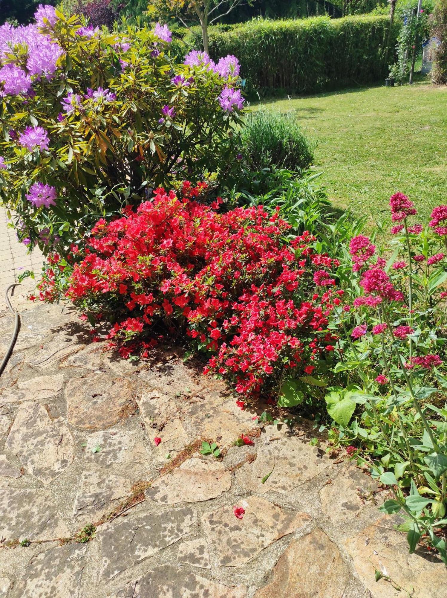 Grand Studio Duplex Avec Jardin La Trinite-sur-Mer Luaran gambar