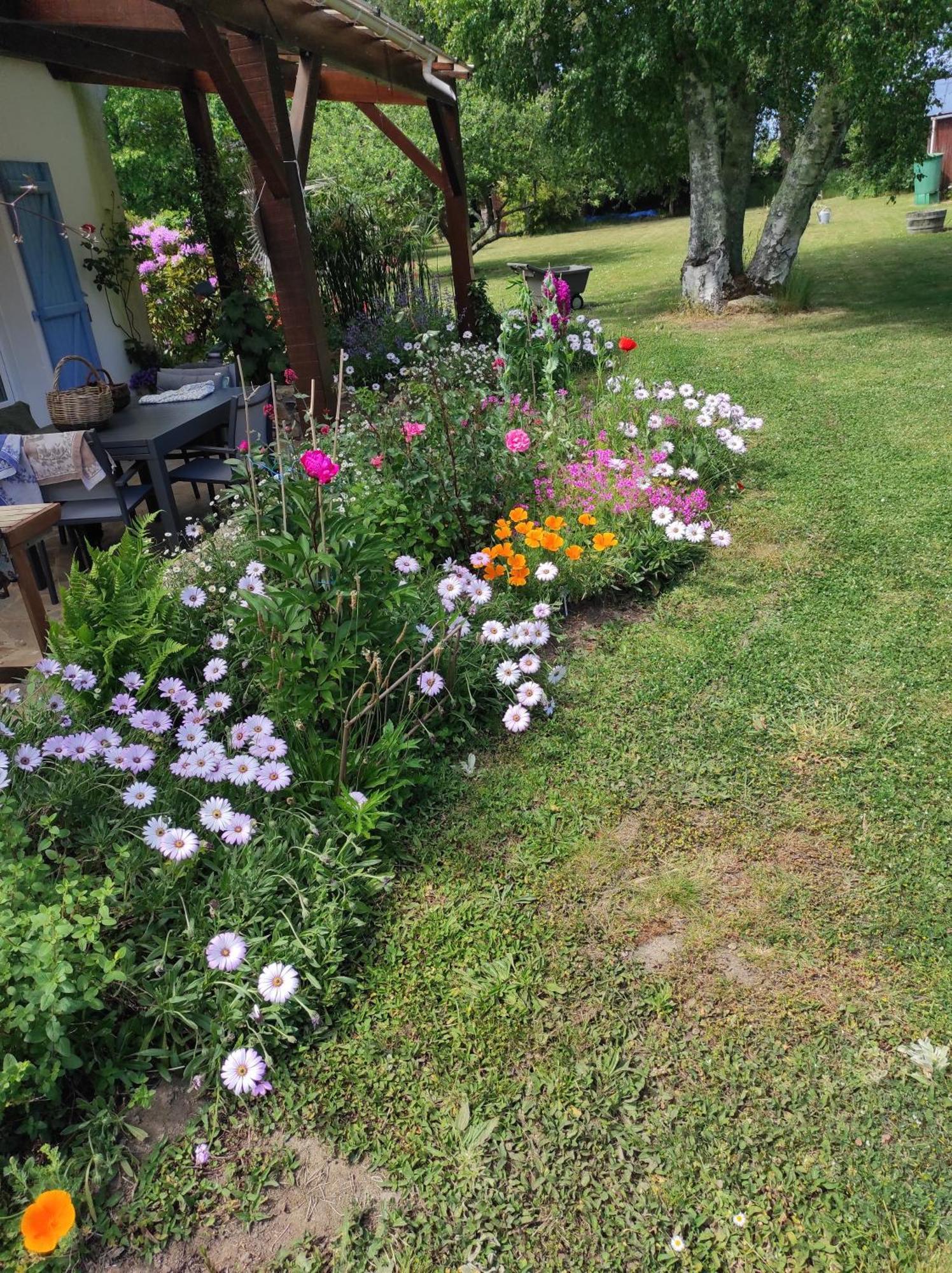 Grand Studio Duplex Avec Jardin La Trinite-sur-Mer Luaran gambar