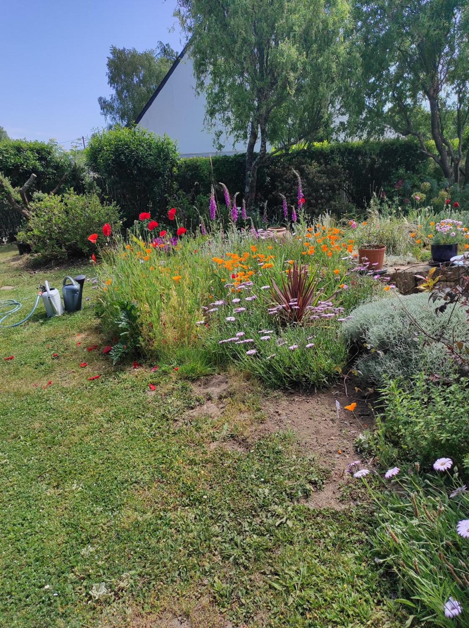 Grand Studio Duplex Avec Jardin La Trinite-sur-Mer Luaran gambar